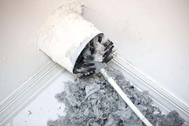 Best Professional Duct Cleaning Services  in Dunlap, TN
